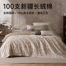 臻品100支磨毛四件套(威尼克斯)